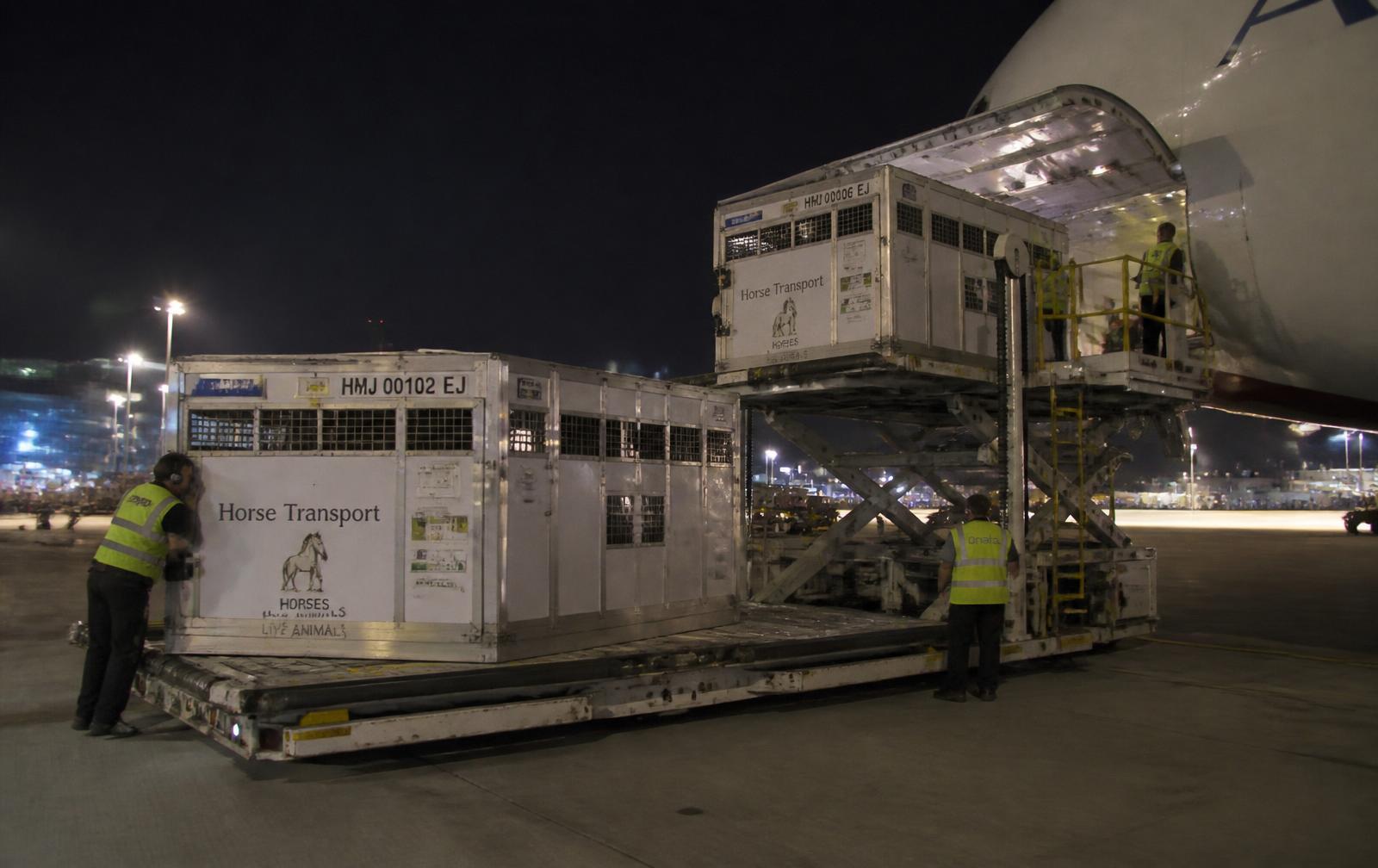Live-animal transport crates being loaded onto a freighter